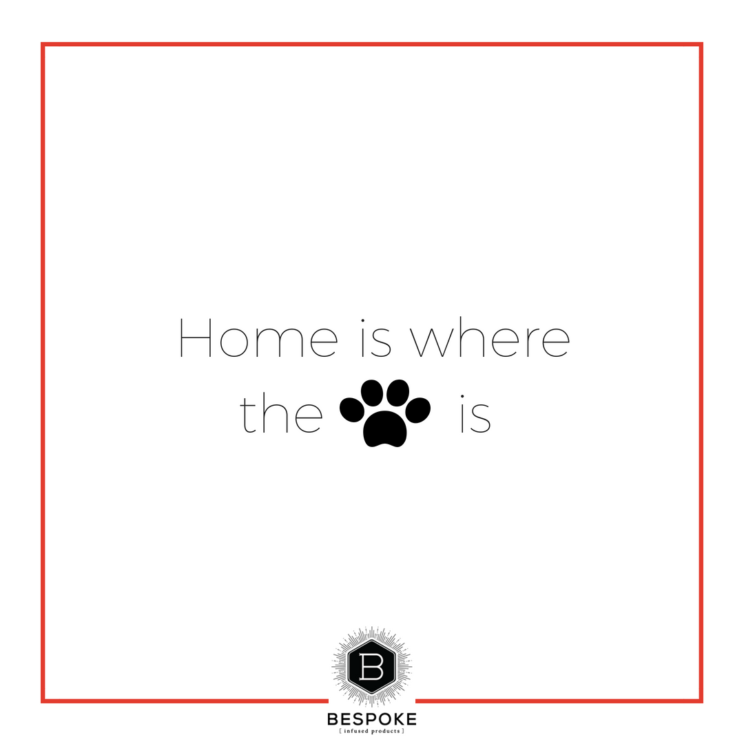 bespokextracts's tweet photo. Wishing you and your furry ones a fun-filled #weekend. #BespokeCBD #BespokeExtracts #dog #doglover #pets #cbd #hempcbd #hemp #medicinal #naturalremedies #bespokepets #cannabis #petcbd #cbdfordog #cbddog #health #cbdoil https://t.co/CMMA2kCV4s