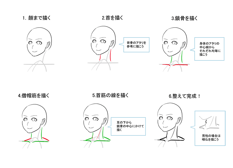 ichiup_net's tweet photo. 頭の幅：首の幅は2：1が標準的💡

https://t.co/0NEOaFhFye  
#絵が上手くなる記事はコレ https://t.co/ObwnxBeuOp https://t.co/2EXpmSNdIz