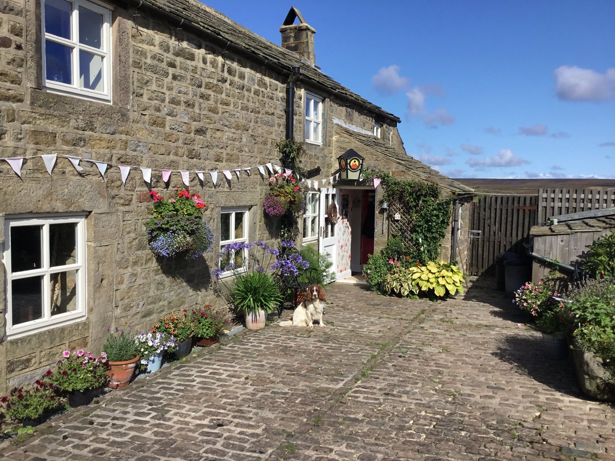juliatetley's tweet photo. Sun is out!! Warming up a touch......yay!! #flowers #theresthatdogagain #madspaniel #home #sun #Augustsunshine #beencold #blueskies #bunting #garden #lovemygarden https://t.co/YqXXjcbuXR