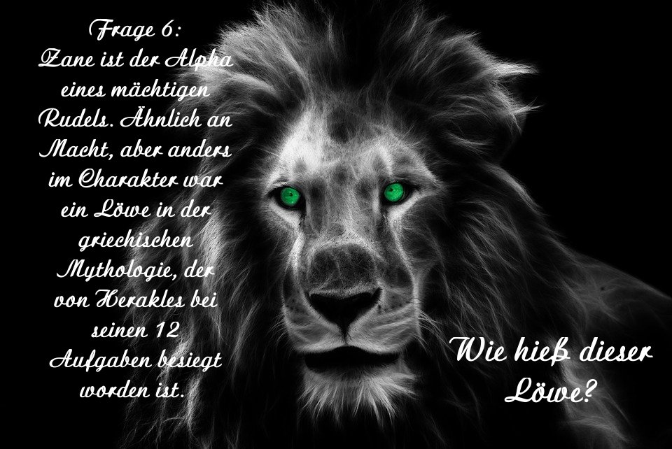 free Биохимия патологических состояний: