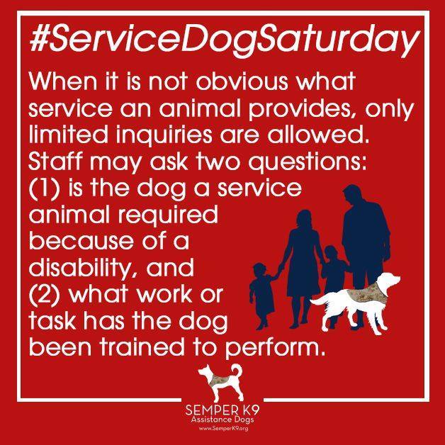 semperk9's tweet photo. When it is not obvious what service an animal provides, only limited inquiries are allowed. Staff may ask two questions: (1) is the dog a service animal required because of a disability, and (2) what work or task has the dog been trained to perform. #semperk9 #servicedogs4v… https://t.co/qej5a5KKry