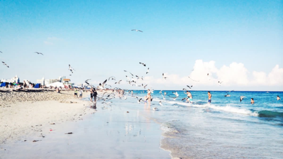 timeshel's tweet photo. “Hark, now hear the sailors cry,
Smell the sea, and feel the sky,
Let your soul & spirit fly, into the mystic.
― Van Morrison
(photo by: @kellyemeraldhart)
#photography #photoprint #rememberwell https://t.co/AkakUvqHLe
