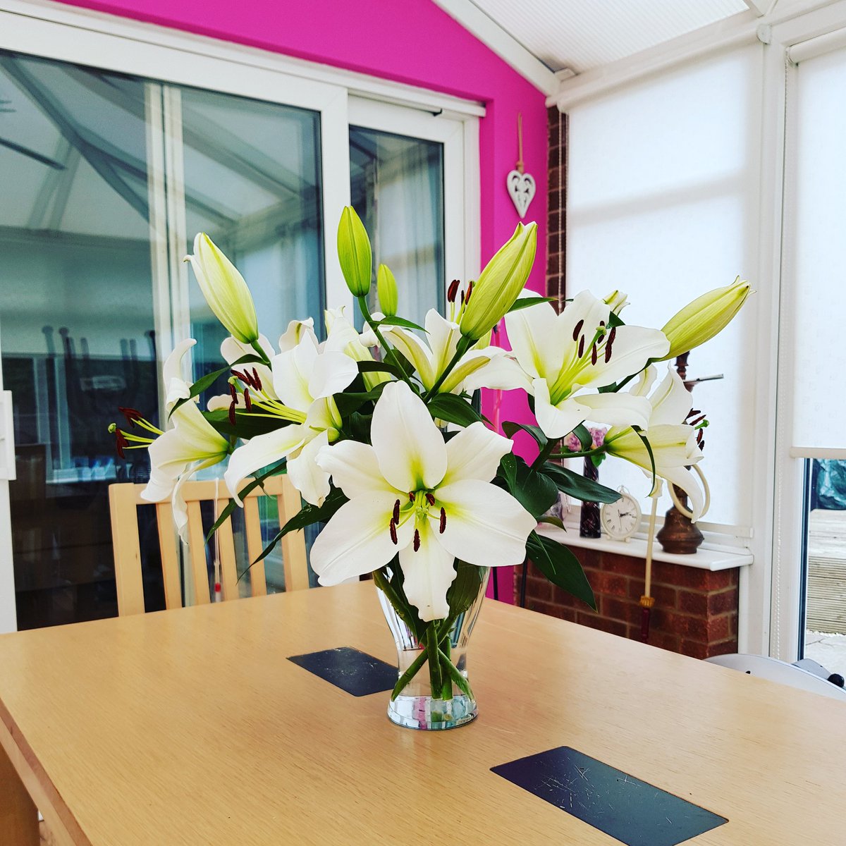 MsEmJam's tweet photo. Got bought these as a thank you. They are safely out of #RubyCats reach. Bloody stunning https://t.co/hjKHPtpBhk