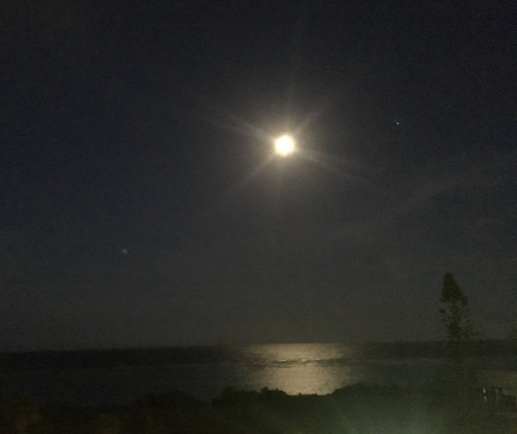 海に映る月 Twitter પર હ શટ ગ