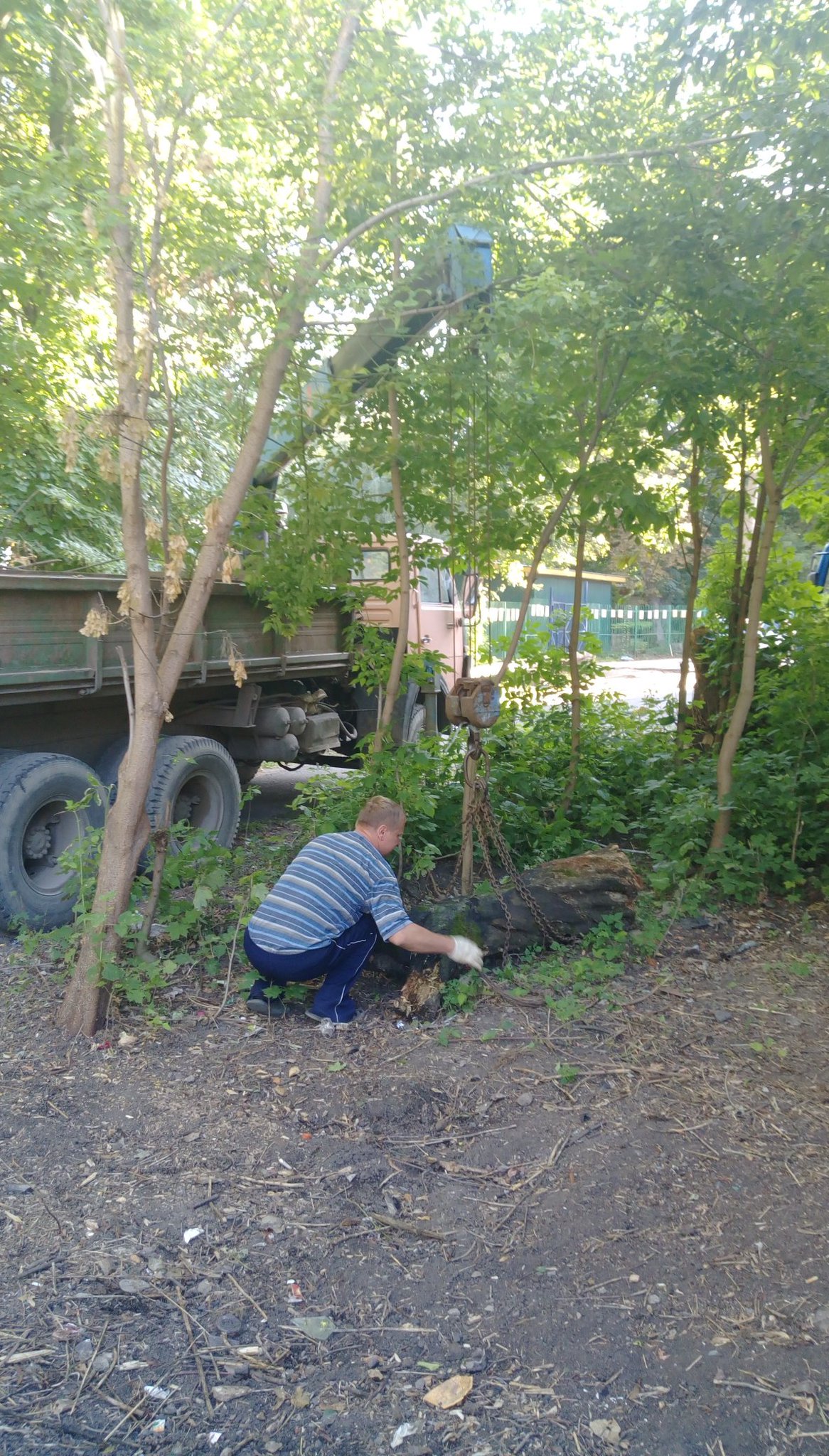 можно ли спиливать деревья возле многоквартирного дома