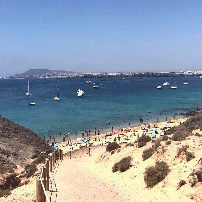 Lanzarote Business (@lanzaroteba) on Twitter photo Nearly there! 🔝 #Lanzarote south coast #paradise @REDecoration_es <a href="/IlesCanaries/">Voyage îles Canaries</a> @DeeeTeeeV @Lanzarote3C <a href="/luxury__travel/">Luxury News</a> @Spain_inUK <a href="/gudrungiebels/">gudrun giebels</a> @SPEL_TurismoLZT Nearly there! 🔝 #Lanzarote south coast #paradise @REDecoration_es <a href="/IlesCanaries/">Voyage îles Canaries</a> @DeeeTeeeV @Lanzarote3C <a href="/luxury__travel/">Luxury News</a> @Spain_inUK <a href="/gudrungiebels/">gudrun giebels</a> @SPEL_TurismoLZT