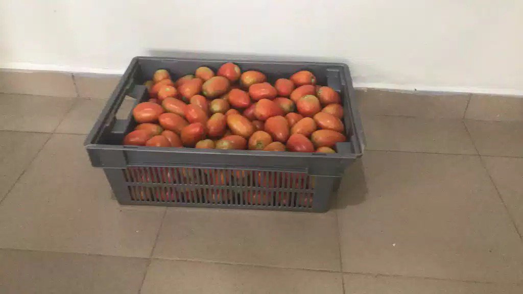 princeO_sagie's tweet photo. Please, retweet so buyers can locate me.
Our premium tomatoes are without blemishes, have less water content, can last outside refrigerator for 10-14 days and we can supply as much as 1 ton daily.
@DrJoeAbah, @julietkego, @segalink, @Kelvin_Odanz, @DemolaRewaju https://t.co/X36SxE4n7G