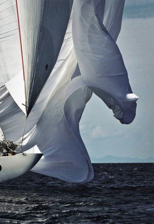 skippjournalist's tweet image. ....