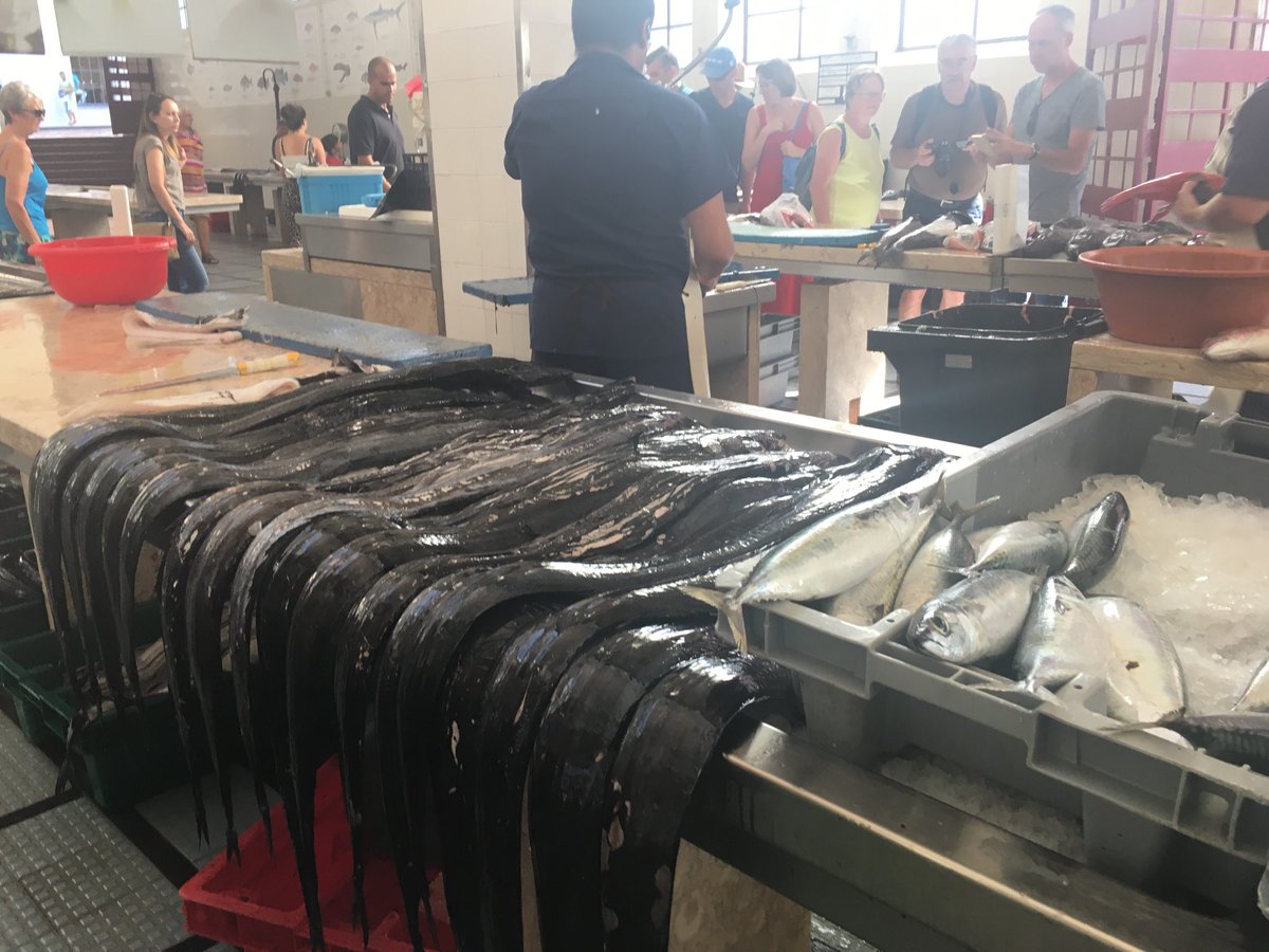 Penny Zako tweet media