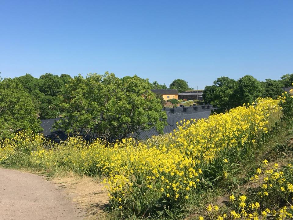 Me liputamme Suomen luonnolle, sen kauneudelle ja monimuotoisuudelle. Lähdemme tänäänkin liikkeelle luontoon, lähdethän sinäkin!
#luonnonpäivä #liputanluonnolle