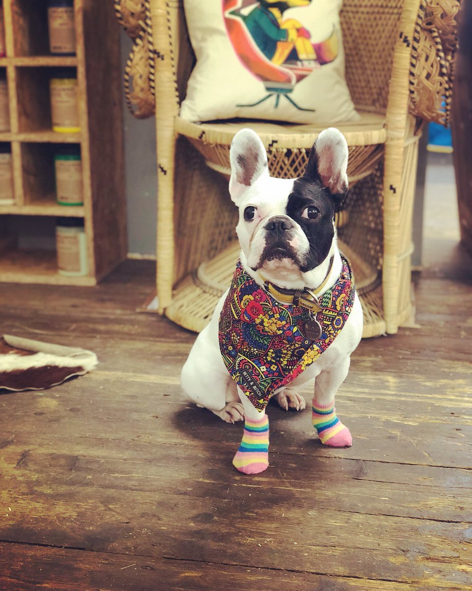 relovedsimion's tweet image. 'Happy Manchester Pride' 
everyone, be who you want to be and love who you want to love ❤️💛💗💜💙💚🌈#lovemanchester #ManchesterPride #ManchesterPride2018