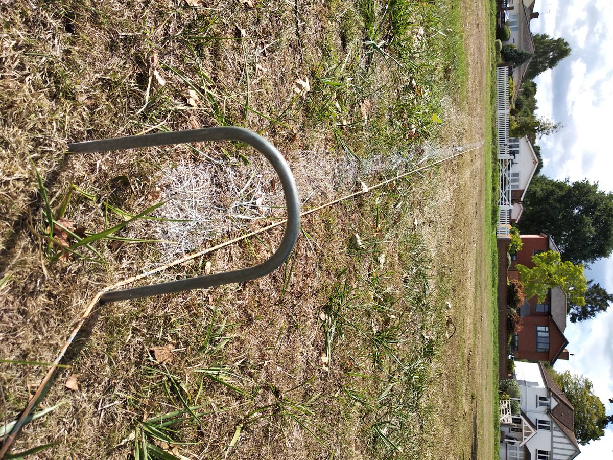 Downside Sports Day tweet media