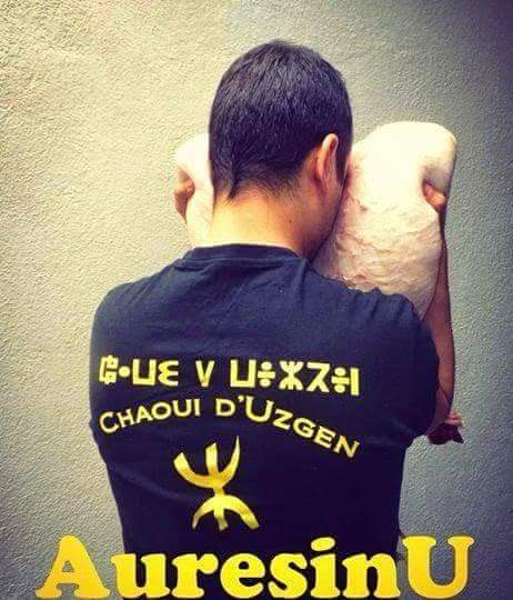 angmar_amazigh's tweet photo. لماذا الأمازيغ يمسحون وجوههم بجلود الأضحيات؟ 
ليس طقسا وثنيا كما يحلو للدواعش تسميته، بل هو مجرد تقليد للأمير الأمازيغي أكسل عندما كان في الأسر فأمره عقبة بن نافع بسلخ نعجة له رغم وجود الكثير من الرجال للقيام بذلك، سلخها أكسل مرغما و مسح وجهه بجلدها متوعدا العرب بشر الإنتقام https://t.co/lBLOyzGL6Z
