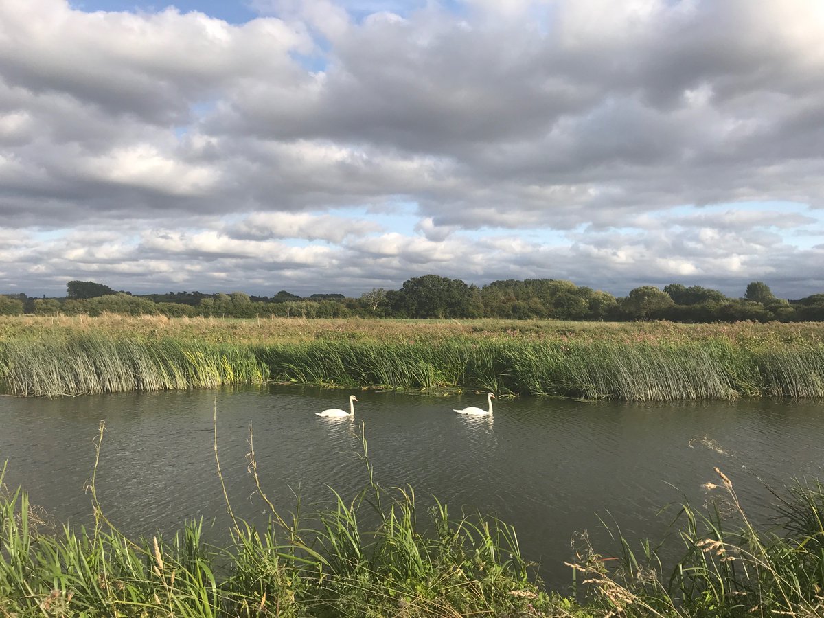AnneLouiseAvery's tweet photo. "The Mole was bewitched, entranced, fascinated...he sat on the bank, while the river still chattered on to him, a babbling procession of the best stories in the world, sent from the heart of the earth to be told at last to the insatiable sea." #WalkingtheThamesPath @NtThames https://t.co/nMlKw8LSCP