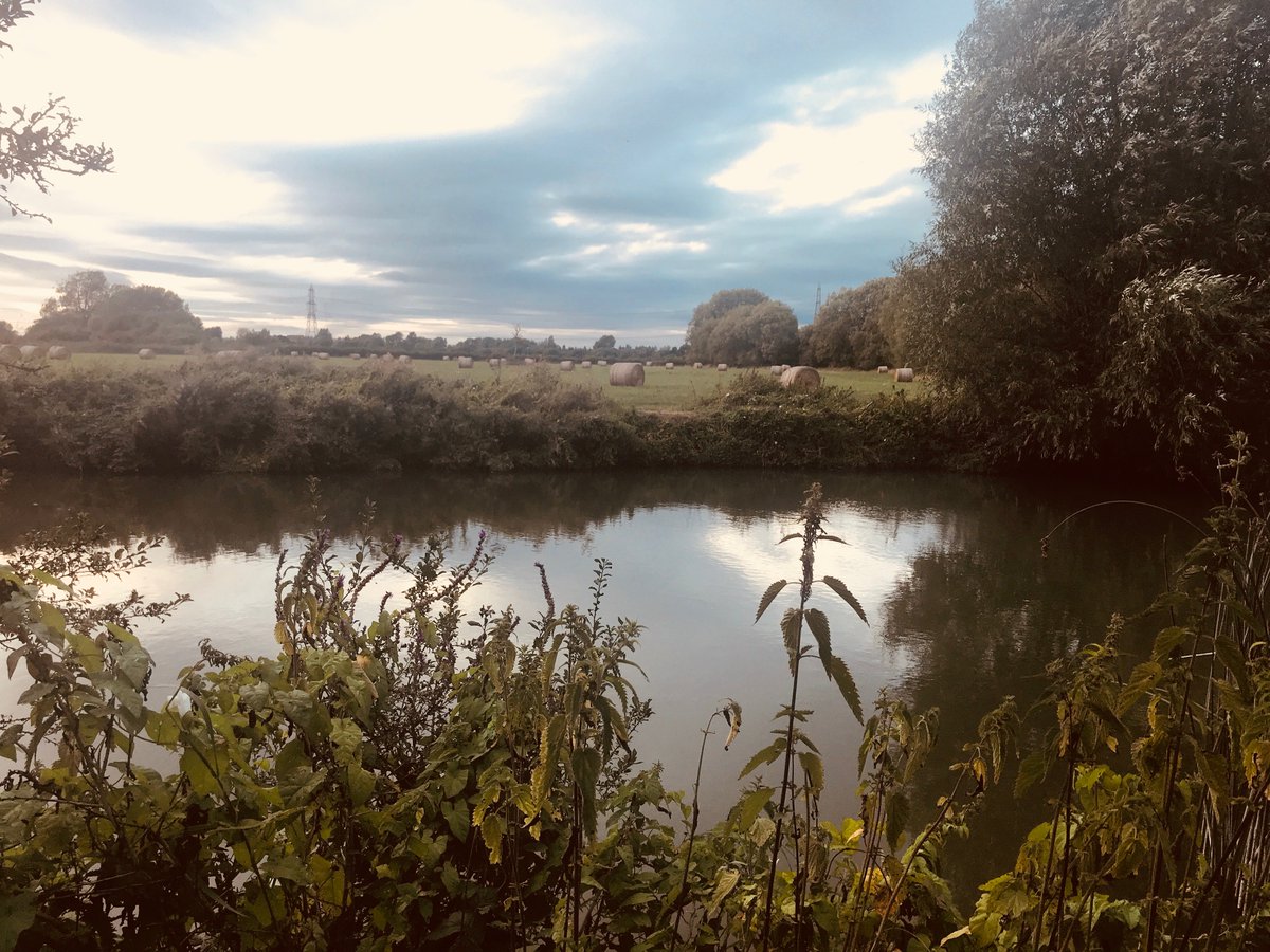 AnneLouiseAvery's tweet photo. "The Mole was bewitched, entranced, fascinated...he sat on the bank, while the river still chattered on to him, a babbling procession of the best stories in the world, sent from the heart of the earth to be told at last to the insatiable sea." #WalkingtheThamesPath @NtThames https://t.co/nMlKw8LSCP