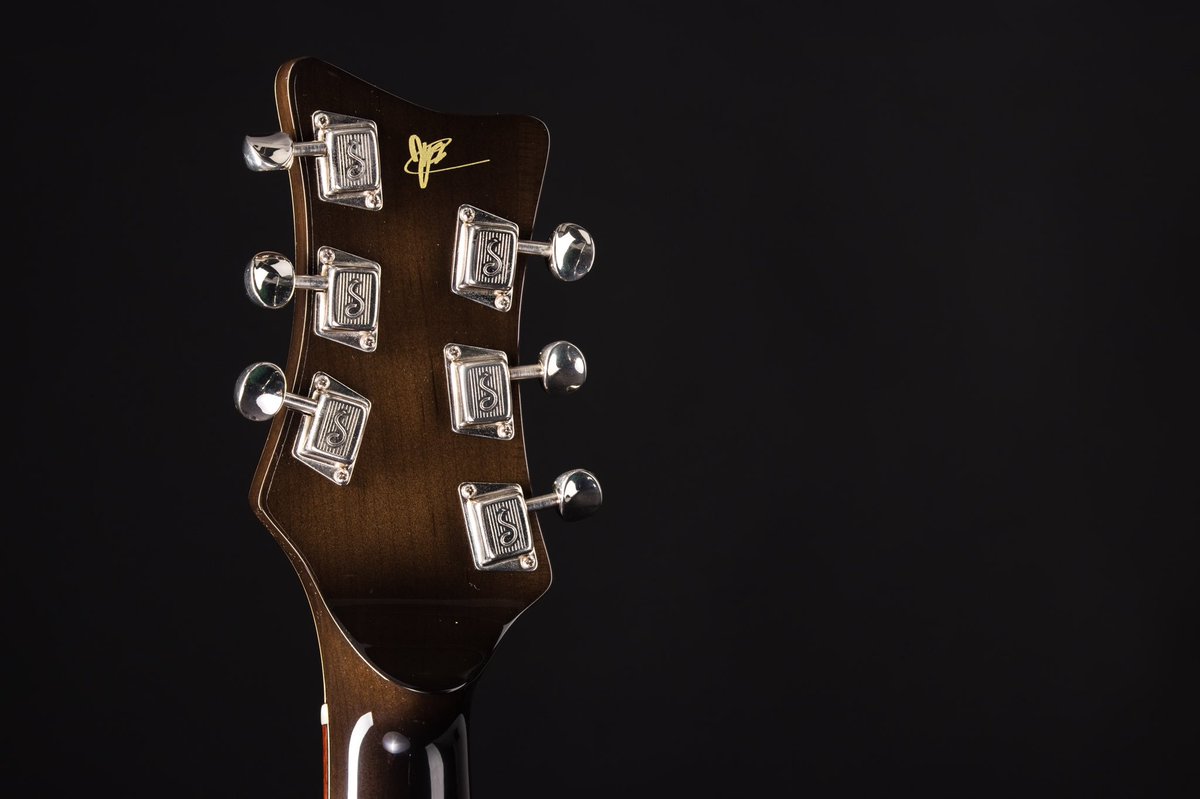 Lucem Guitars tweet media