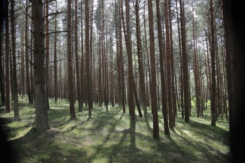 Call for Proposals: Olfactory Art and the Political in an Age of Resistance scentart.news/2018/08/25/cal…