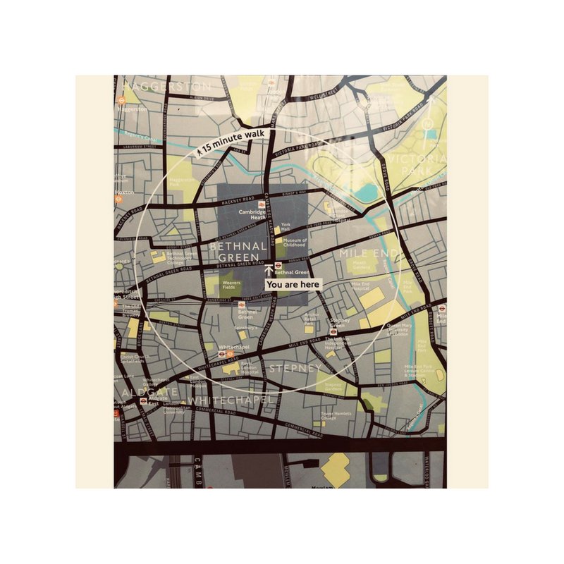 book Emergency Triage,