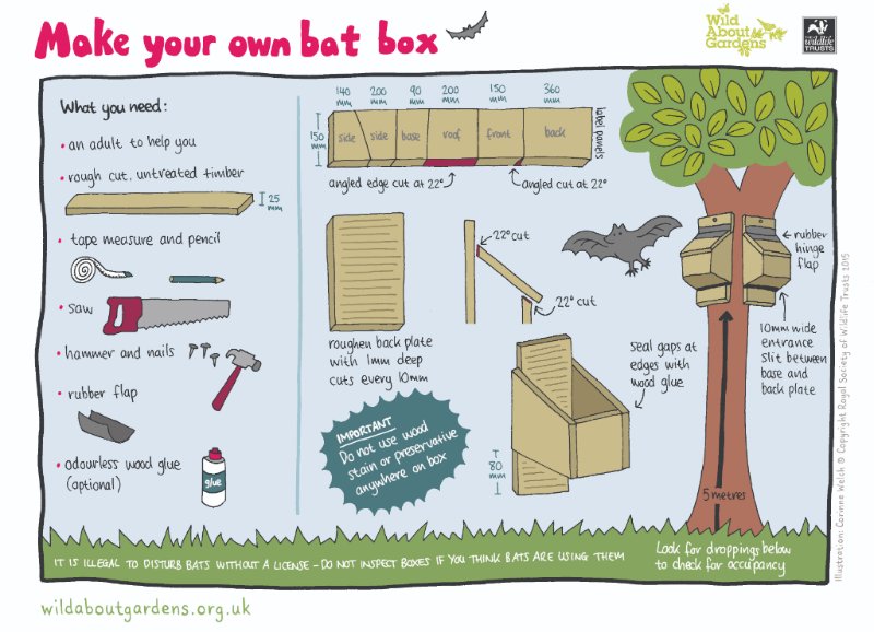 HMWTBadger's tweet photo. Why not spend the #bankholidayweekend building a bat box for your local bats? #DIY #Batbox #Batweekend https://t.co/WTj7mVCrbj