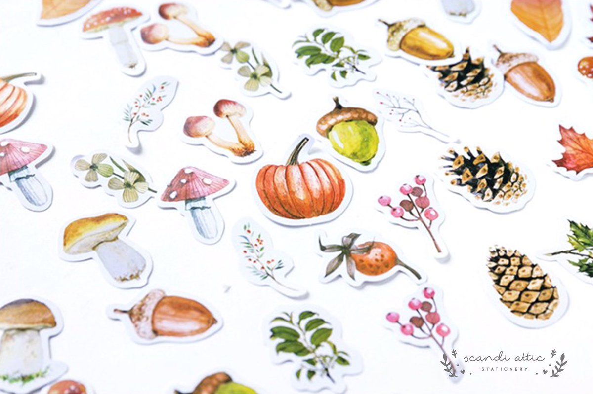 Autumn is just around the corner! 🍃🍄🍂 these new woodland stickers are now in our #etsy shop! etsy.com/uk/listing/637… #craftbuzz #stationery #planner #stationeryaddict #sheffield #etsyfinds
