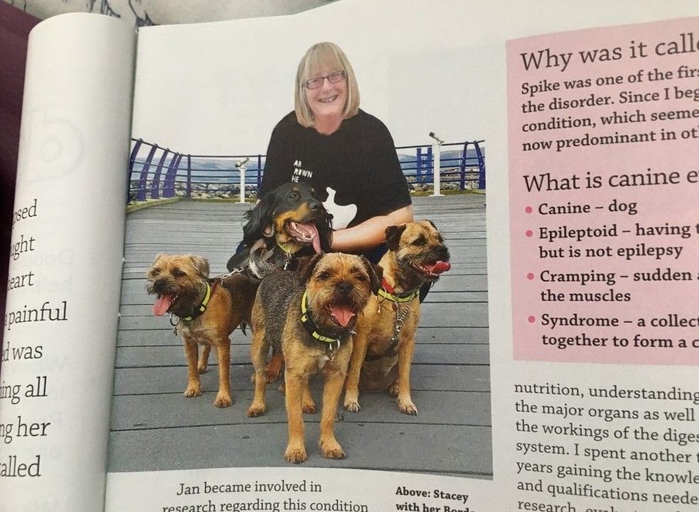 Giulia_Indy's tweet photo. Remember #StaceyFirth author of #understandingCECS ? She is featured on #dogsmonthly magazine in the September edition!! ๐ https://t.co/8jTijafnEK ๐ #BTPosse #borderterriersunited #borderterrierowners #ilovemyborderterrier #ilovemydog #livingwithaborderterrier https://t.co/J7li9c8HRh