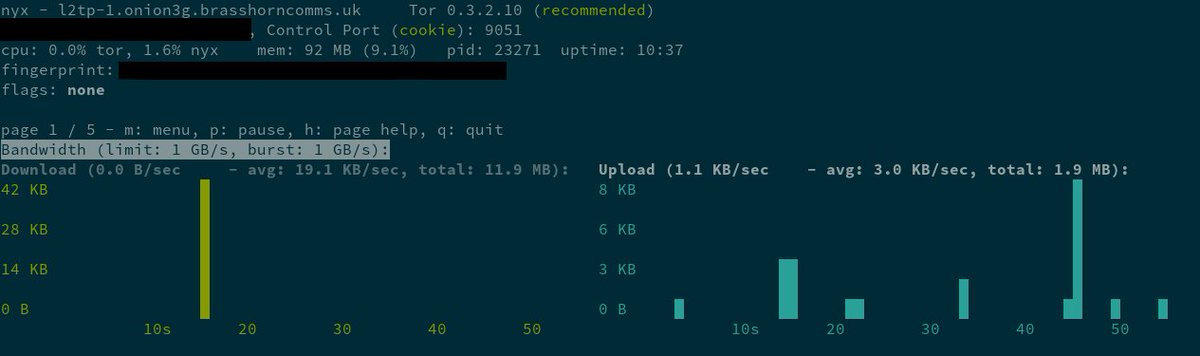 A picture showing the nyx output of the Onion3G project Tor Bridge