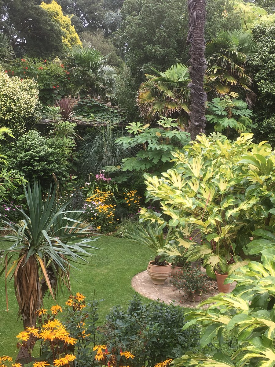 Harvey Stephens tweet media