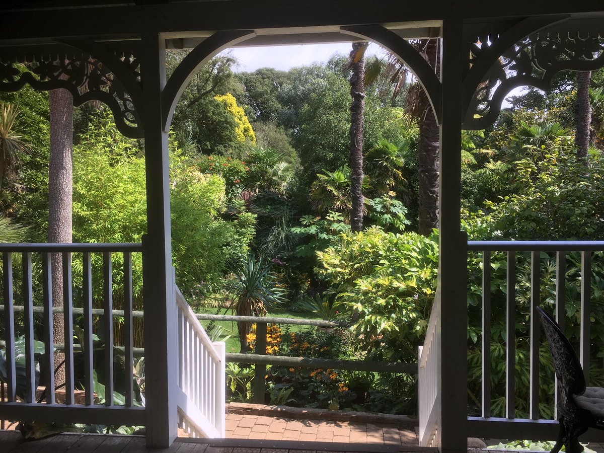 Harvey Stephens tweet media