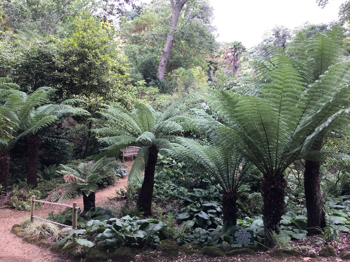 Harvey Stephens tweet media