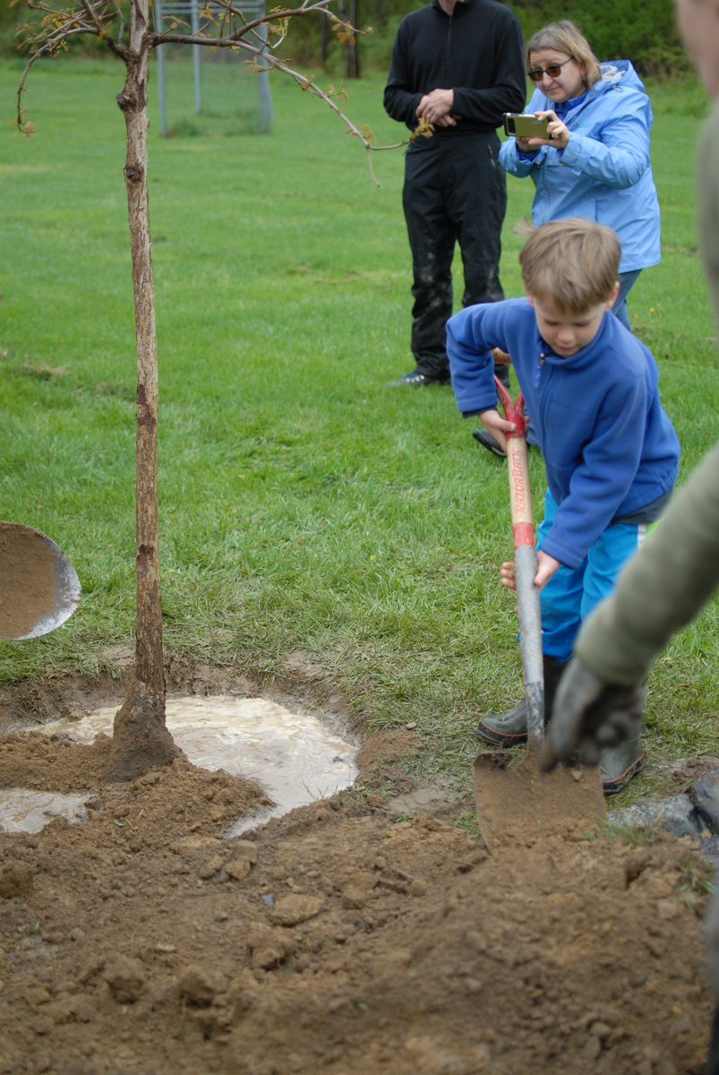NYSUFC's tweet photo. The Village of Freeville, in consultation with adviser Ithaca City Forester Jeanne Grace, is using its Council Arbor Day grant dollars to have planting events in both spring and fall. https://t.co/LOovSuDM2b @CCETompkins @arborday @ithacatimes https://t.co/4MGuK2VbNA