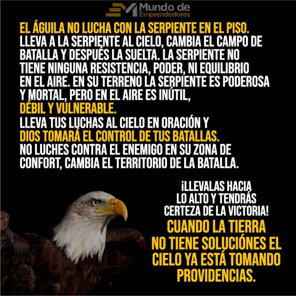 Anna Vaccarella (@avaccarella) on Twitter photo 