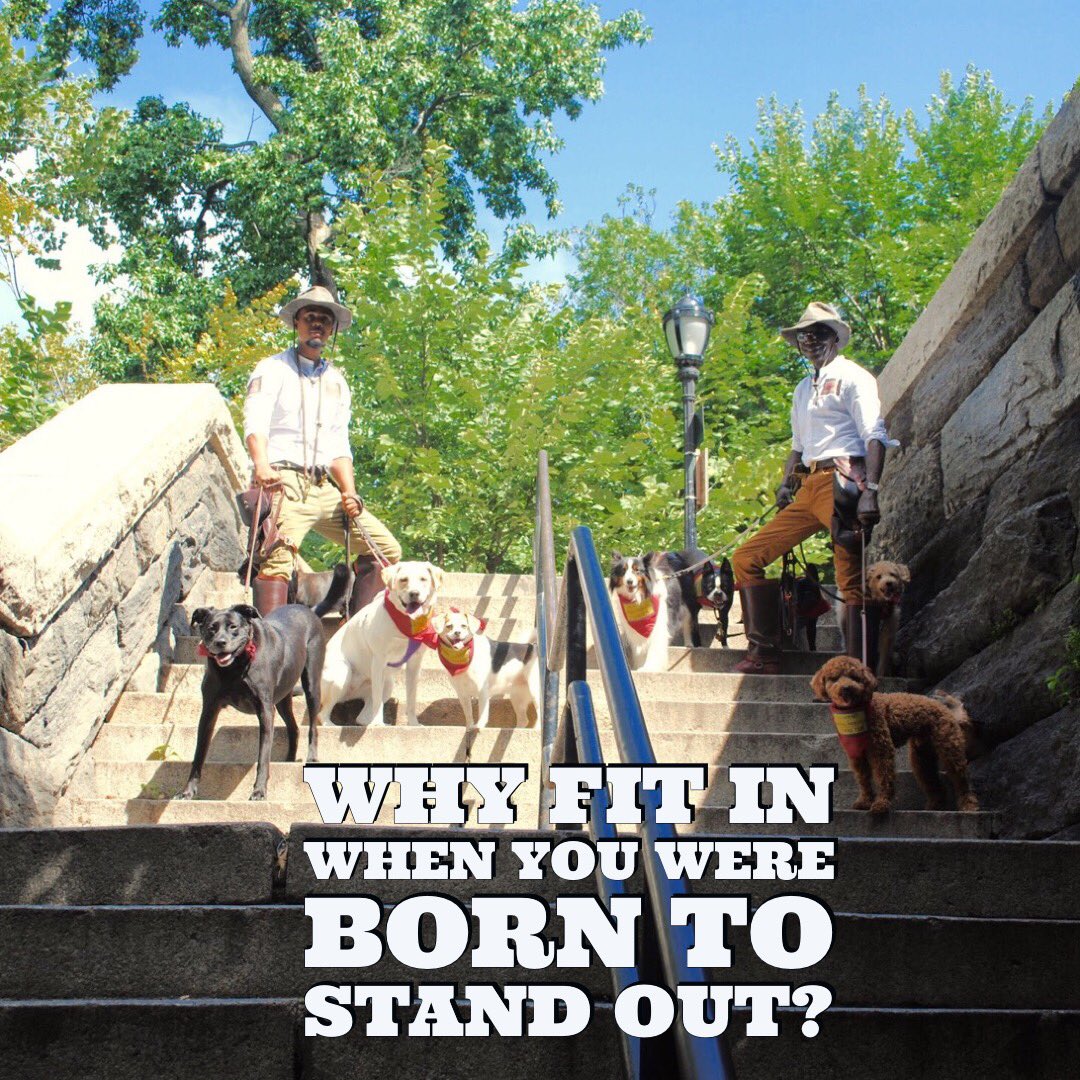 RoyalWolvesInc's tweet image. Saturday Morning Vibes #mycity #mystyle #myway @RiversideParkNY