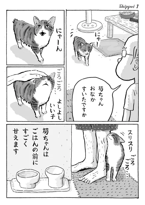 2ページ猫漫画「ごはんのときの失敗」 