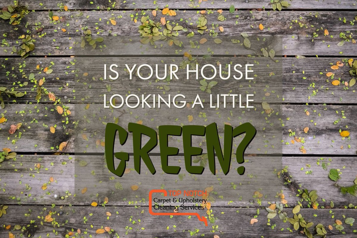 Top Notch Carpet & Upholstery Cleaning Services (TNCarpet) Twitter