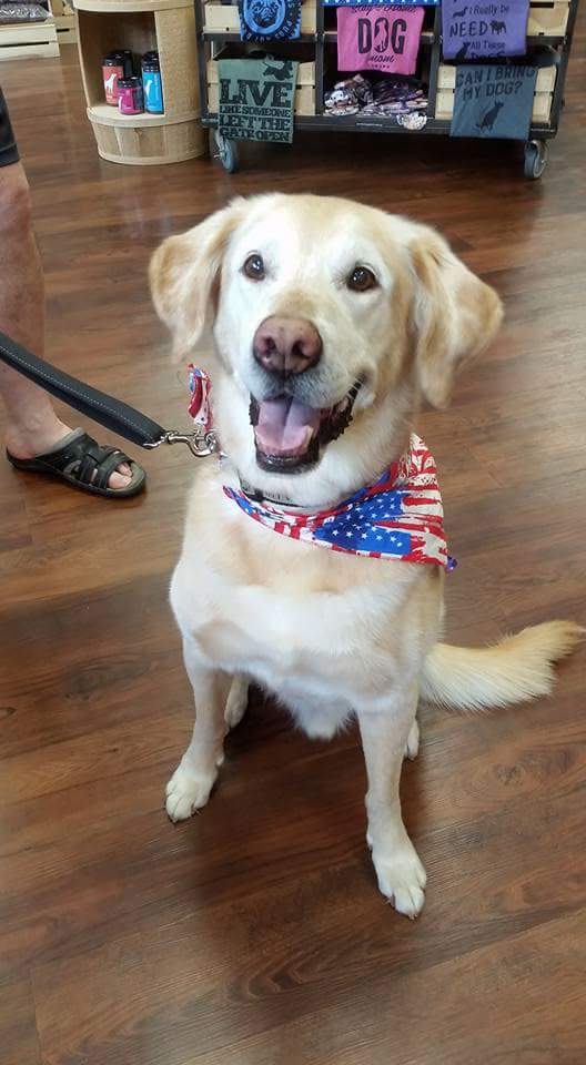 I’m getting a cookie!!!!!!!!!!!❤️❤️❤️❤️❤️❤️❤️❤️❤️❤️❤️❤️❤️❤️ #IfAnimalsCouldText