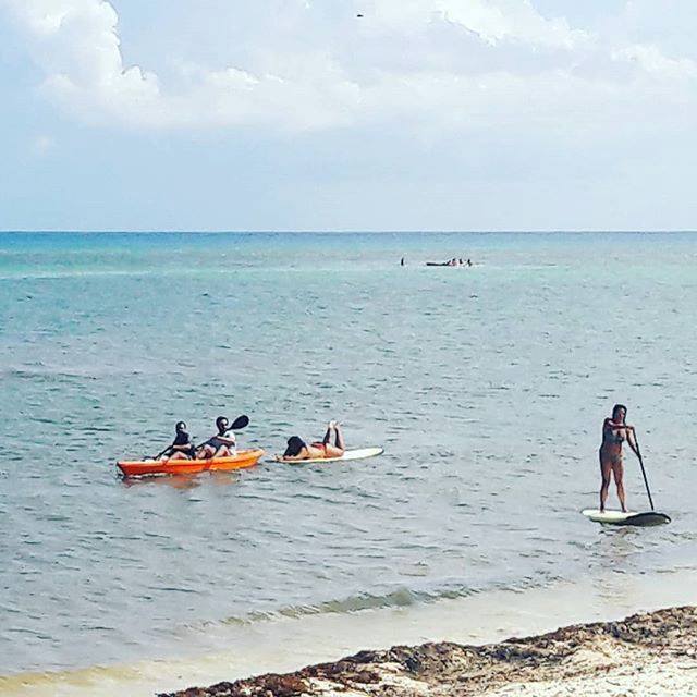 PlayaBoardsport's tweet photo. Standup Paddle and kayaks every day!! #standupaddleboards #supworkout #paddleboards #standupandpaddle #boardsports #kayaks #beachbums #beachlife #summer2018 #paddlelife #fb #watersports #ocean #rentals +529841760855 https://t.co/OLnu6hK3aW https://t.co/bDdubwsWP5