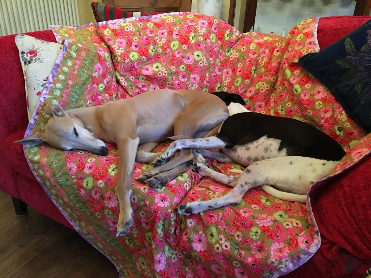 lp_lisa's tweet image. #makingdo