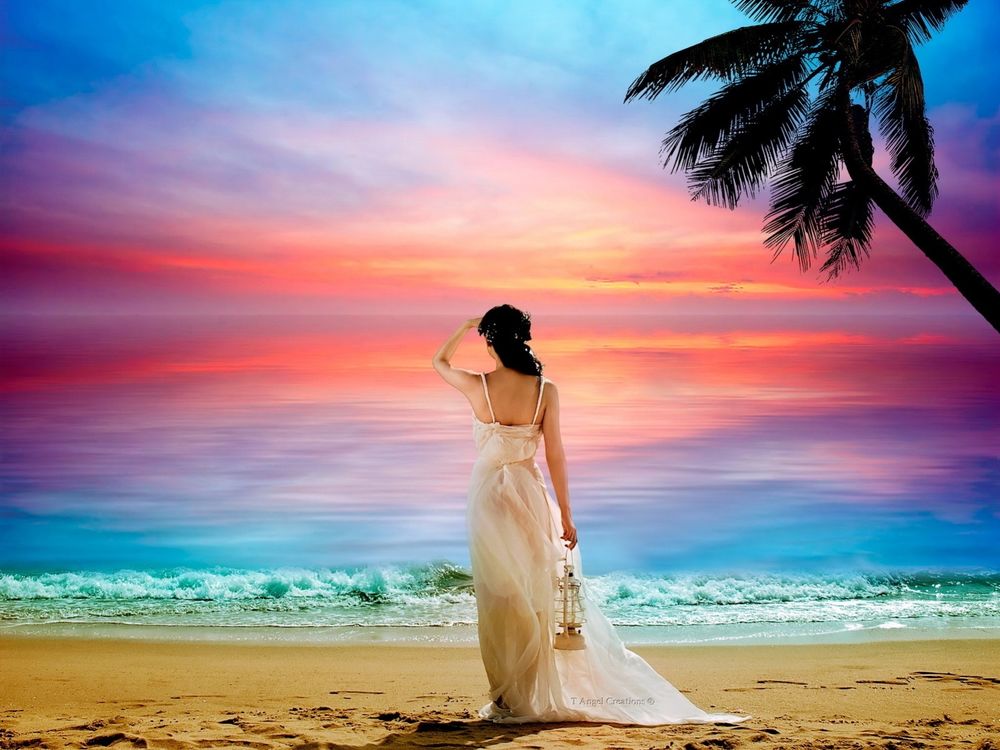 Cristina Dobre tweet media