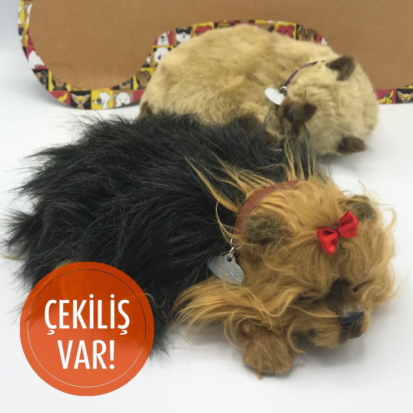pinargulecyuz's tweet photo. @hepsienteresan Çekiliş için instagram sayfamıza bekliyoruz 😊 https://t.co/8ZzJUU0lUS
