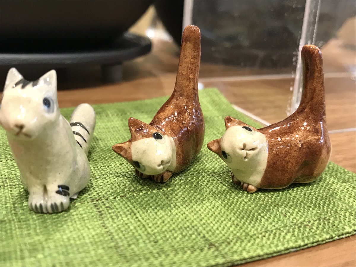 神矢 達郎 A Twitter 新しく仲間に デコレ 月見 猫 ねこ うさぎ そらまめ商会 この猫もヤバい 置地廣場 田園調布 次はハロウィン 神矢 達郎 A Twitter 新しく仲間に デコレ 月見 猫 ねこ うさぎ そらまめ商会 この猫もヤバい 置地廣場 田園調布 次はハロウィン