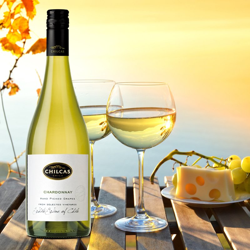 ChilcasWines's tweet photo. ¿Quién se anima para un Chardonnay? #Chilcas #Chardonnay #ElOrigenDeLoInovidable #TheOriginOfTheUnforgettable https://t.co/vkte09flu0
