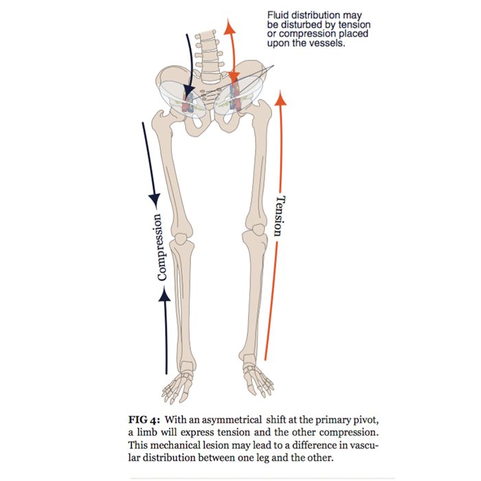 shop bioactive sphingolipids in cancer