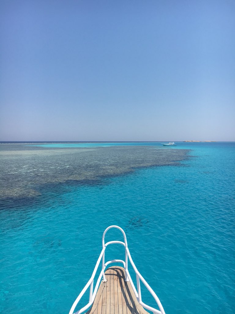 msriddleabroad's tweet photo. Awesome Eid holiday #scubadiving in the Red Sea with #decodivers ! Excited to share such an amazing experience with two of my colleagues/friends. Mabrouk to Ashley who is now an #advanceddiver https://t.co/dQXt3s107A