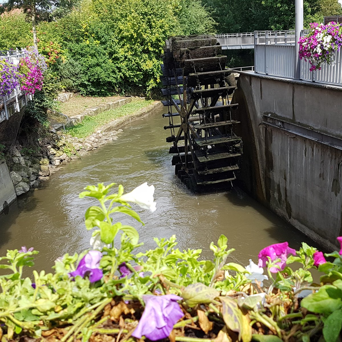 joyvalleyde's tweet photo. Gestern habe ich einen kleinen #Ausflug nach #Wertingen in #Bayern gemacht. Nette #Stadt , auch wenn der #Regen einen größeren #Spaziergang unmöglich machte. Was ich dort noch gemacht habe, verrate ich im nächsten #Post . #Mühle #Bach #Blumen #Kurzurlaub #Rundgang #Auszeit #Hund https://t.co/tCz5Zt8Cdy