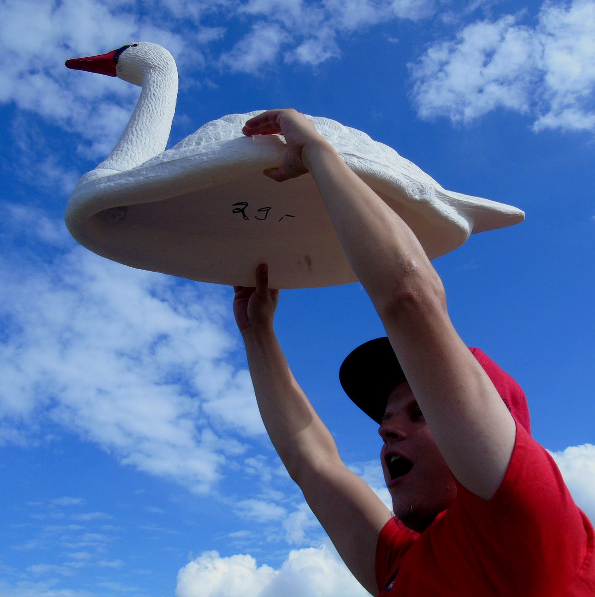 Pablo Casso tweet media