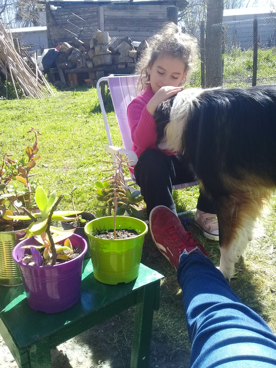 trinidadmujica's tweet photo. Mateando al sol antes del pollo al horno... esperando al gaucho...#campo #Udaquiola 🏡🐶🐎🐂🌼🌱⚘🌳 https://t.co/tcaiOGckB7