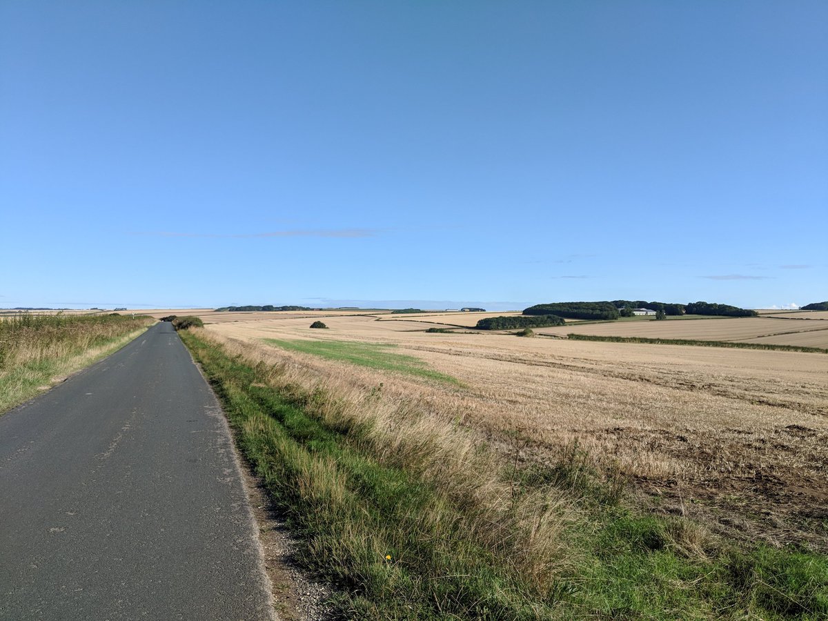 Yorkshire Wolds tweet media