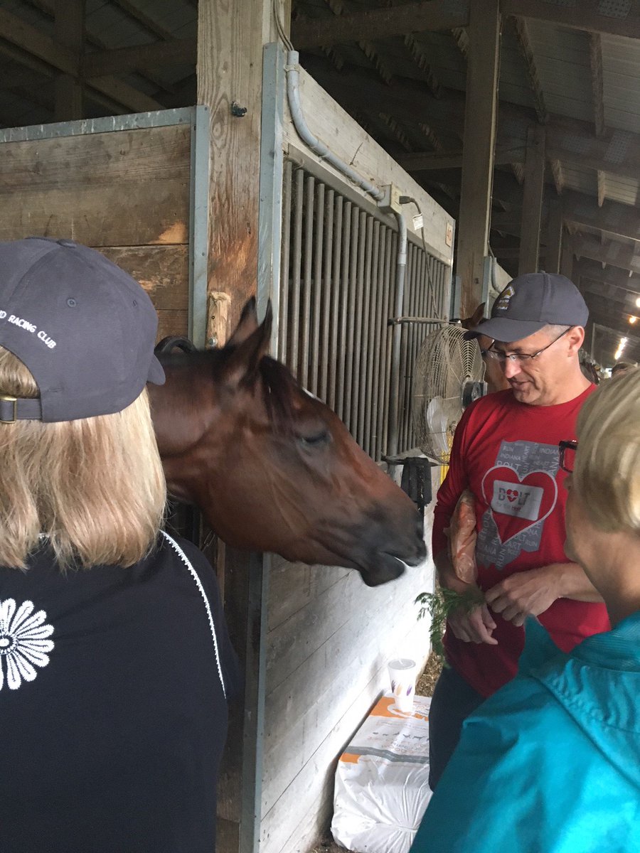 GrandGestureStb's tweet photo. Despite the weather, great turnout for a barn visit to see Bold Concept this morning by the Grand Gesture Stable owners @IGRaceCourse @IGTammy @RacingRachelM @NancyUryHolthus @billdownes1 https://t.co/CP12oObNll