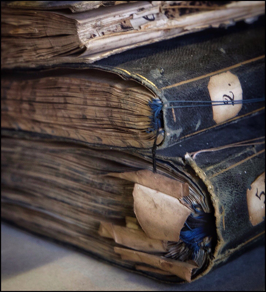 VikkiBrucePhoto's tweet photo. In my book of dreams

#old #book #books #love #family #archives #history #research #study #WHPstudy https://t.co/1hhYEffjB4