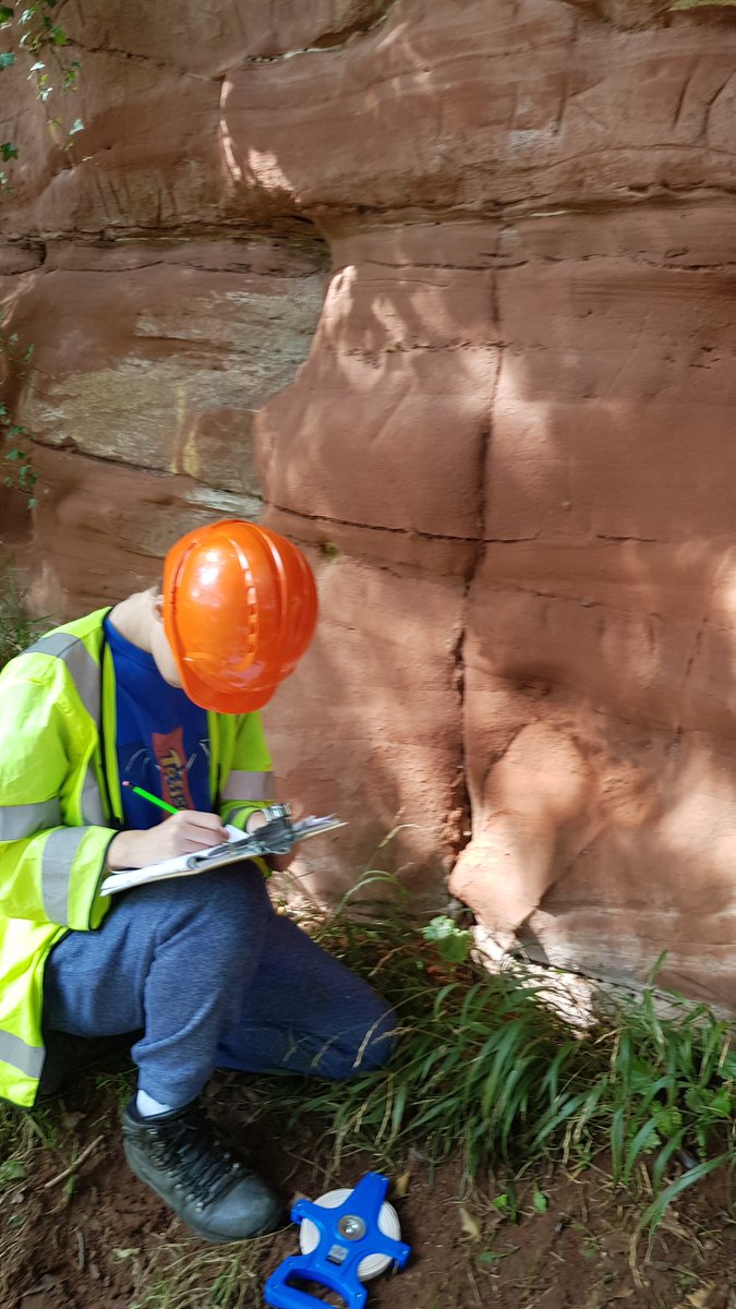 Novel Angiogenic Mechanisms: Role of Circulating Progenitor